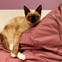 charlieclapton-blog avatar