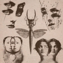 charliedaltonofficial avatar