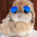 charlieny-blog avatar