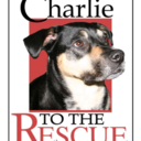 charlietotherescue avatar