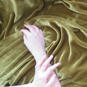 charlinefelder-blog avatar