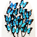 charlotteproudlove avatar