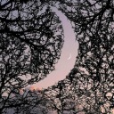 charlottetomma avatar