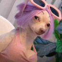 charlottewalker avatar