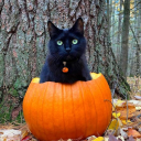 charlyghsavon avatar