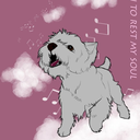 charlyshipsthings avatar