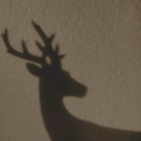 charmed-quill avatar