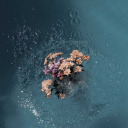 charmedthoughts avatar