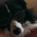 charmeliayuri avatar