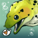 charming-eel avatar