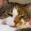 charmingbizarre avatar