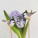 charmingcreatures avatar