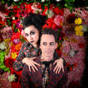 charmingdisaster avatar