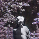 charminggardner avatar