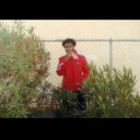 charminghandsley avatar