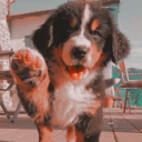 charmingsouls avatar