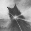 charnel-grounds avatar