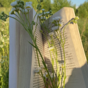 charocaljuniper avatar