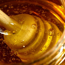 charzard-lord avatar