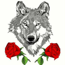 chasedbyhowlingwolves avatar