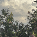 chasemetotheendoftheuniverse avatar