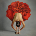 chasethedance-blog avatar