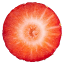 chasing-ghost avatar