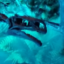 chasing-posts avatar