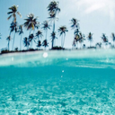 chasing-the-beach-blog avatar