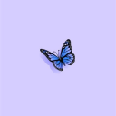 chasingbutterflys avatar