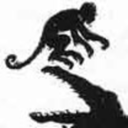 chasingmonkeys avatar