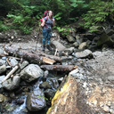 chasingterciel avatar