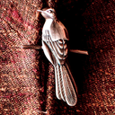 chasingthemockingbird avatar