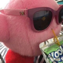 chasinkookioe avatar