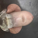 chastityfedom avatar