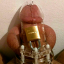 chastityjerad avatar