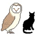 chatetchouette avatar