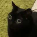 chatnoirwithblackhair avatar