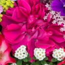 chattykathysquietsister avatar