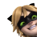 chatul-shachor avatar