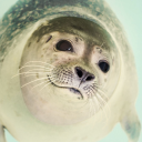 chchchchchages avatar