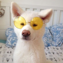 checkerdancee avatar