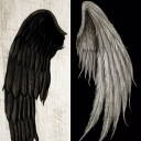 checkerddevil avatar