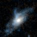 checkernotabot3436 avatar