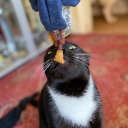 checkthedungeon-blog avatar