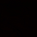 checkyourdamage avatar