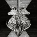 cheeky-orchid-art avatar