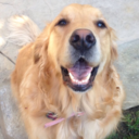 cheekylipstick avatar