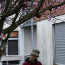 cheekythasskunk avatar