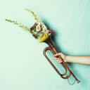 cheekytomlinson avatar